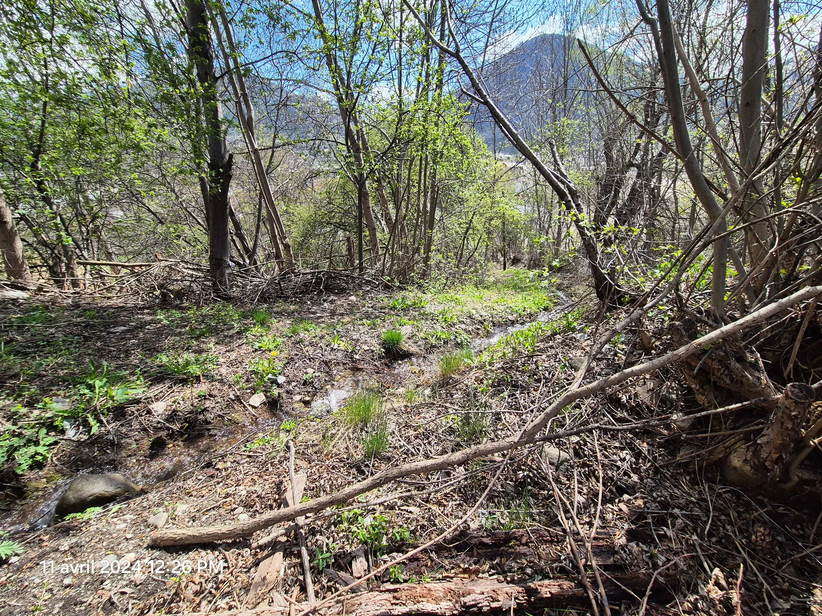 Terrain Constructible Emplacement Centre Ville Permis purgé - 4